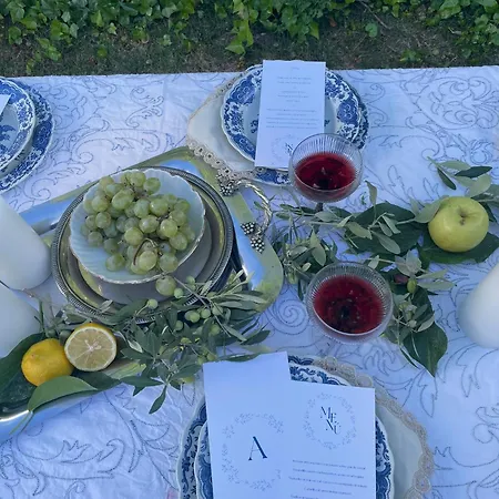 Casa Medina Villa *
